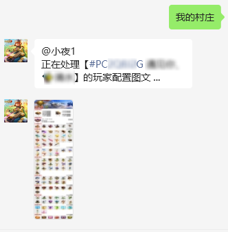 查询主村庄